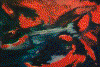 Alexl~17.gif (63663 Byte)